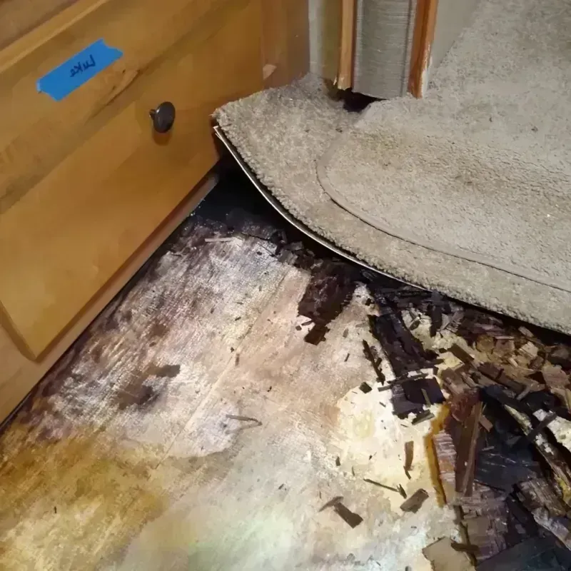 Best Wood Floor Water Damage Service in Del Monte Forest, CA